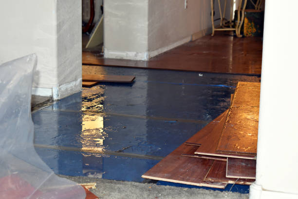 Professional Flood Cleanup technician working in Dighton, MA
